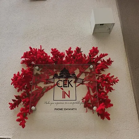 Cekin39-2